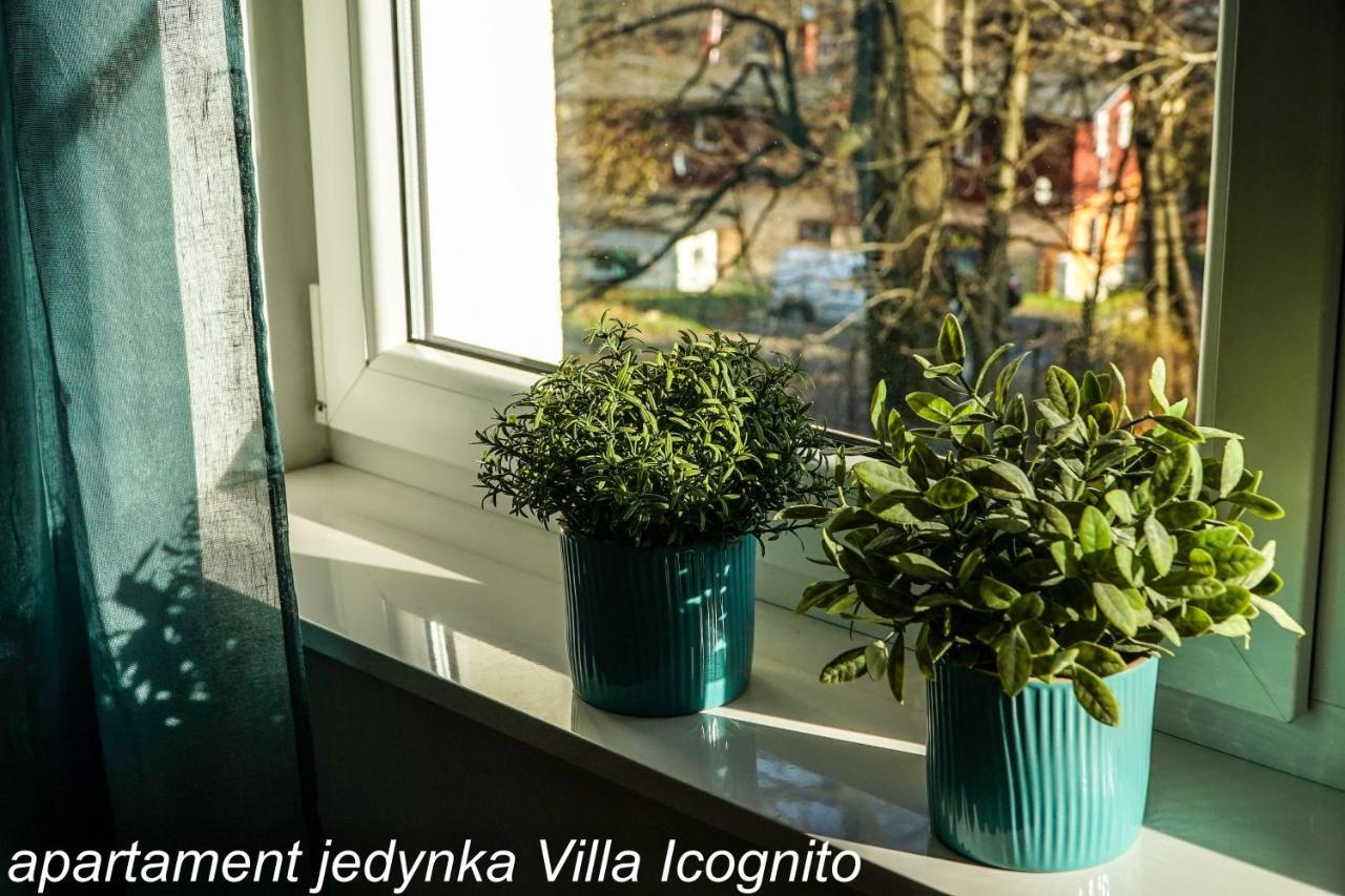 Apartament Jedynka Villa Incognito Шклярска Поремба Екстериор снимка